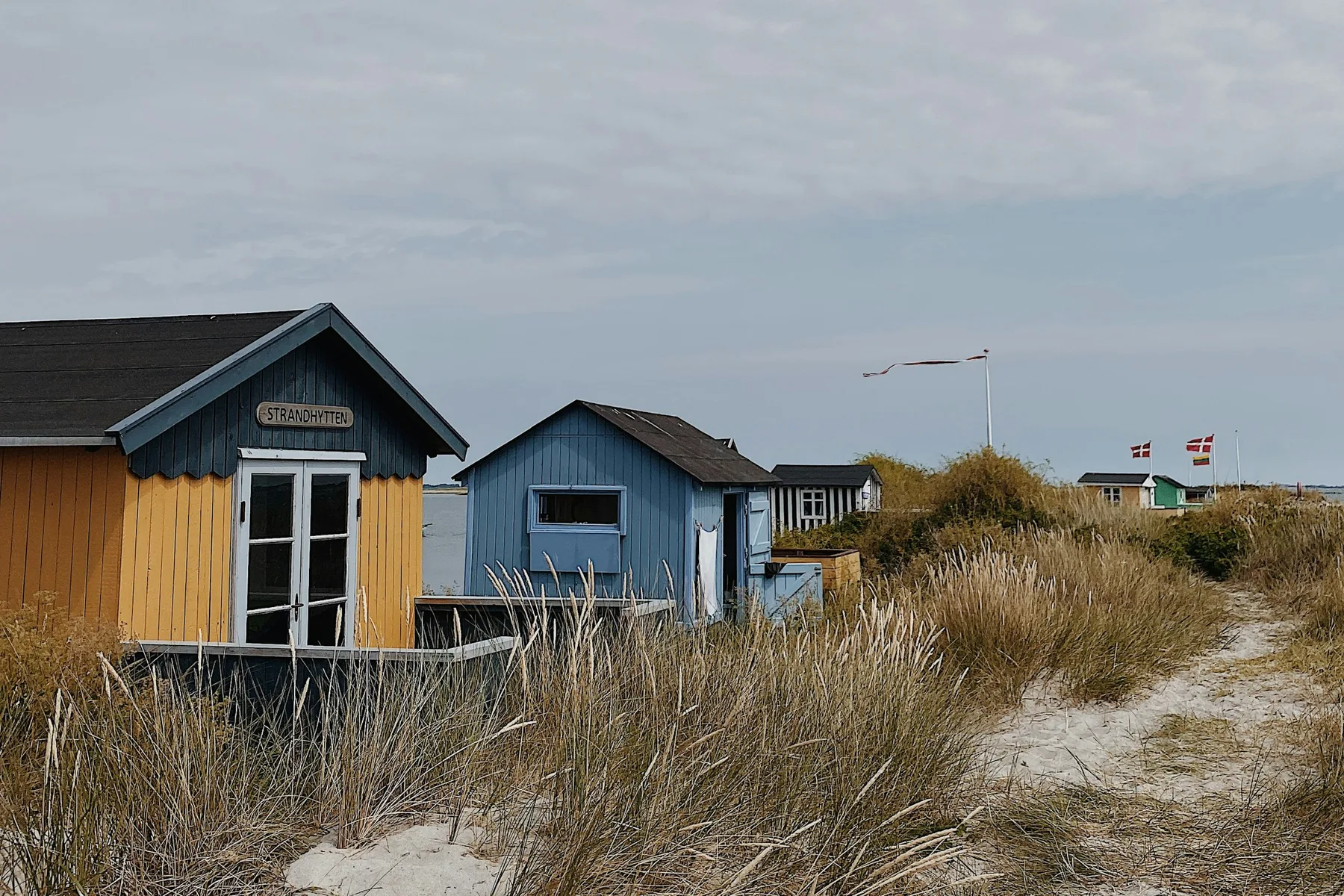 Small painted beach houses among dune grass