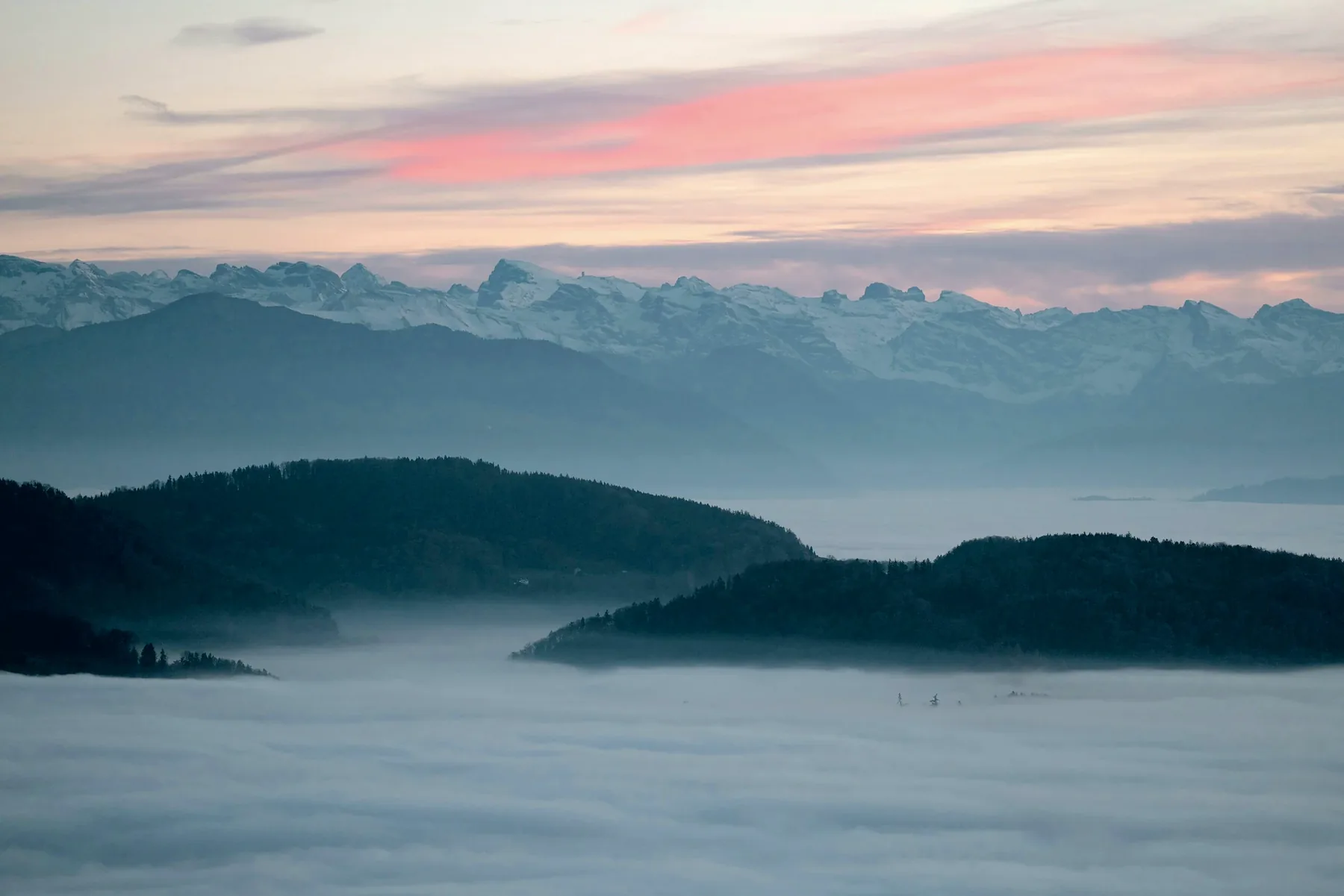 Dark wooded hills rising from a fog sea under a pink dawn sky, snow peaks behind