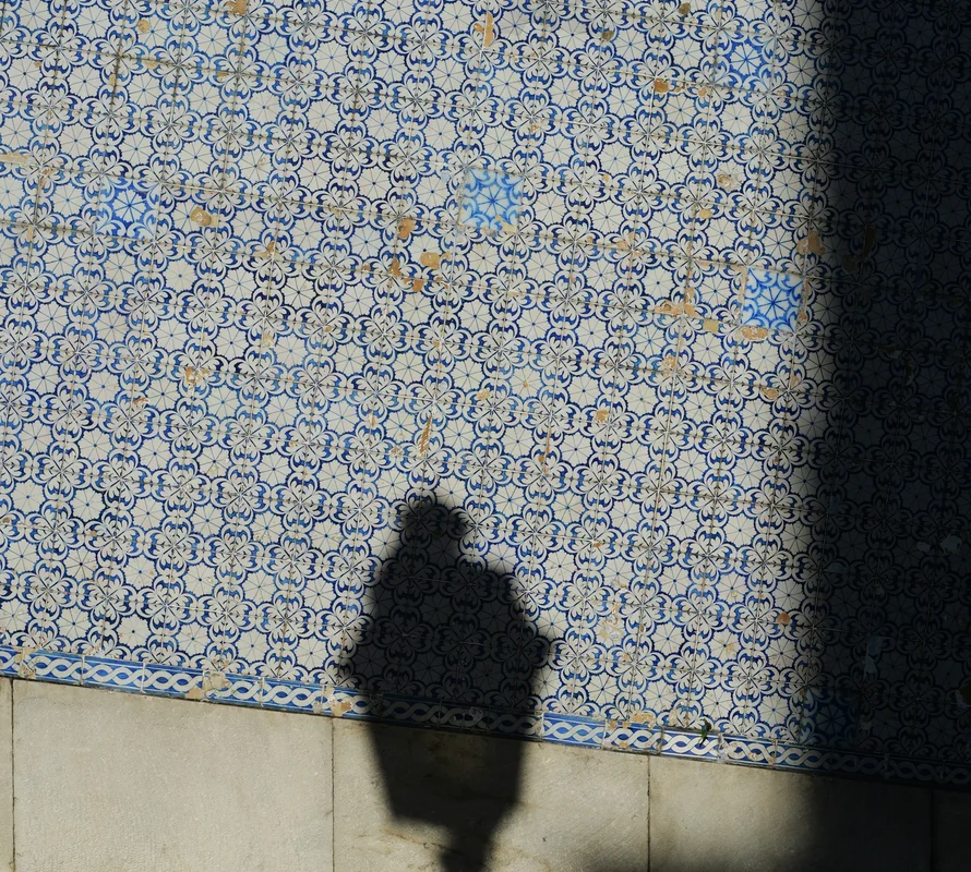 The shadow of a lamppost across the blue azulejo tiles of the palazzo wall in sunlight