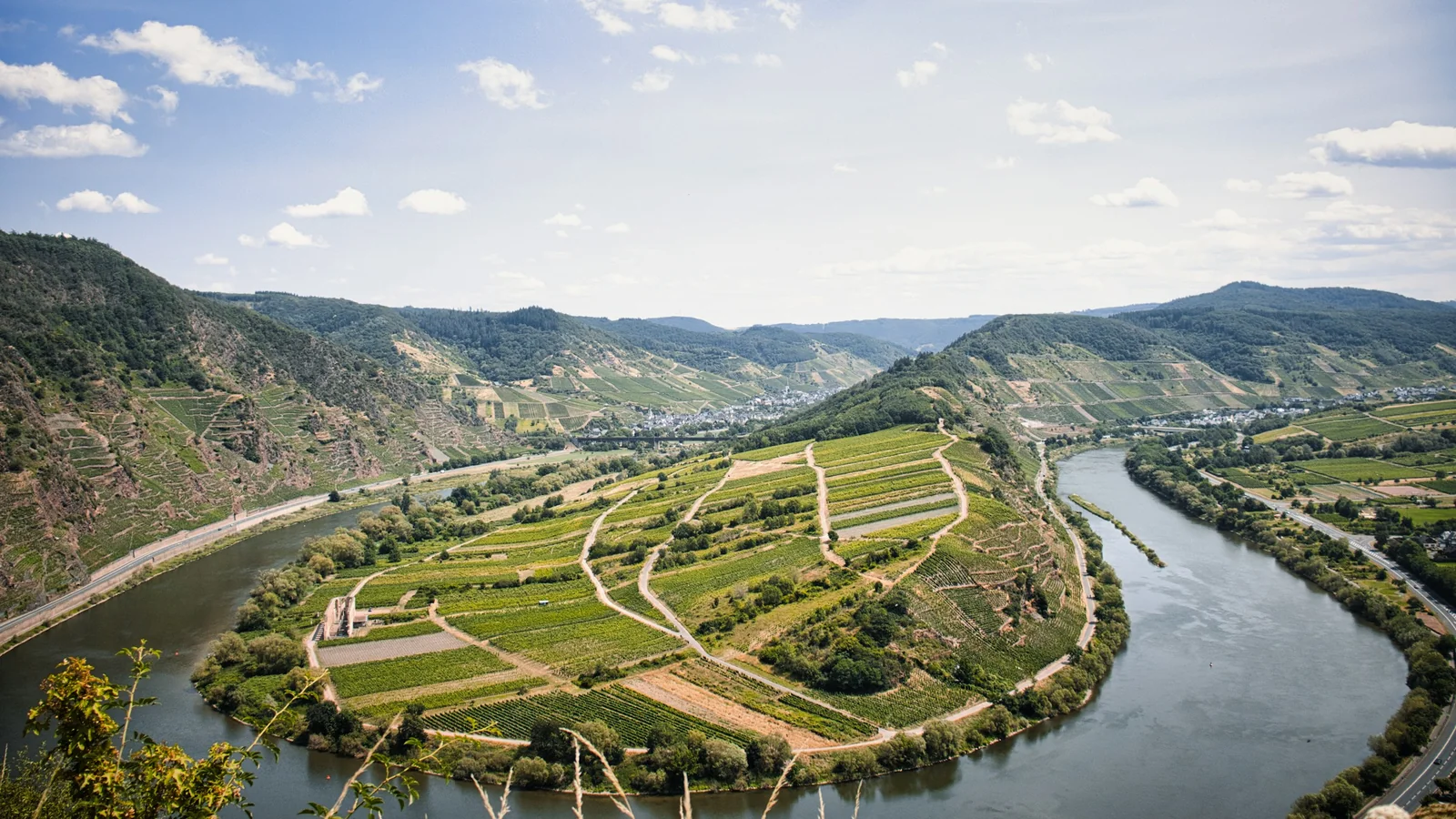 Terraced vineyards on a steep slope wrapping a bend in the river under a pale sky