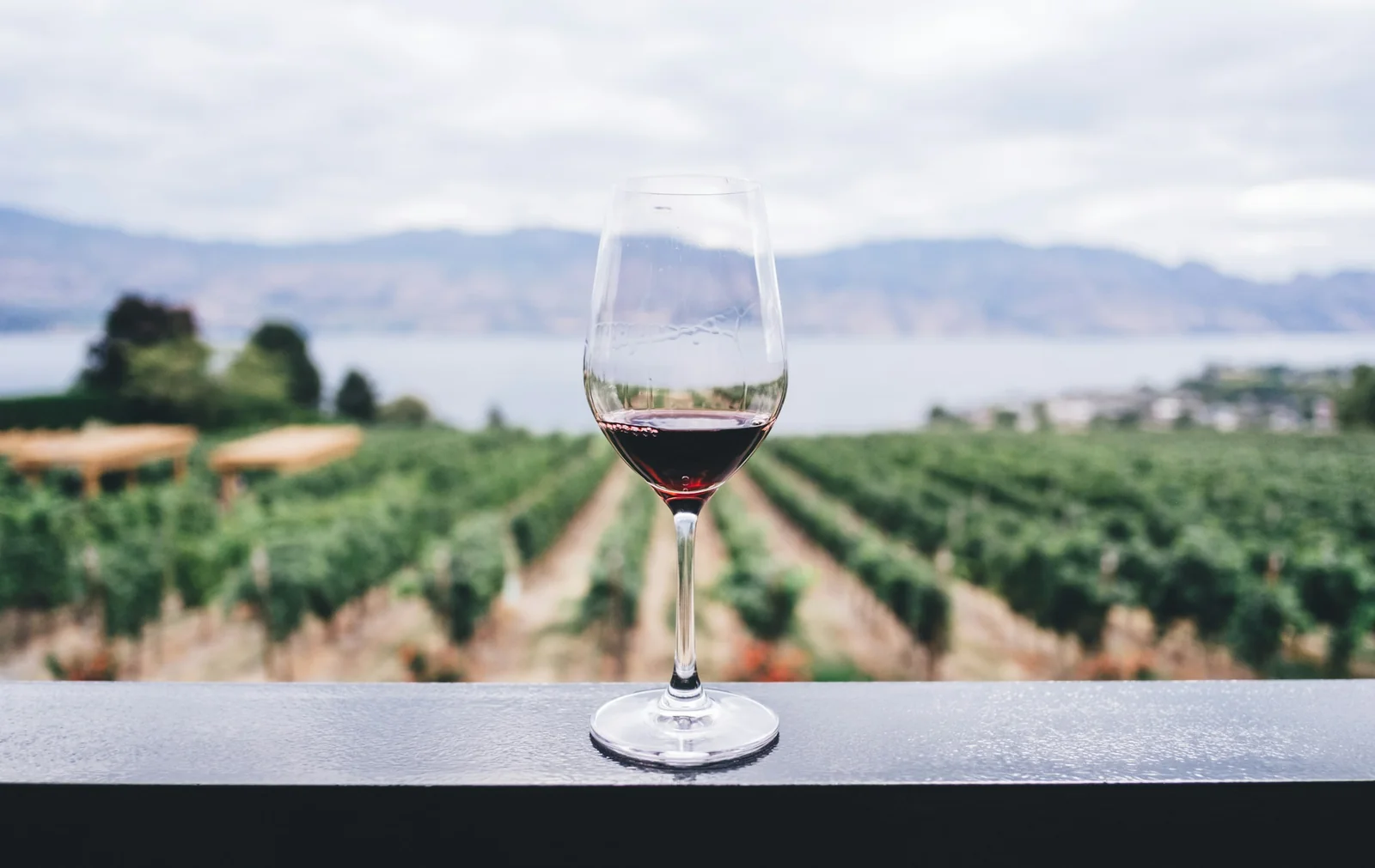 A glass of red wine on a terrace ledge above the vines, the river and hills beyond
