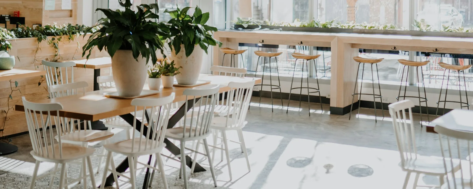 A bright café with white timber chairs, planted tables and a long bench at the window