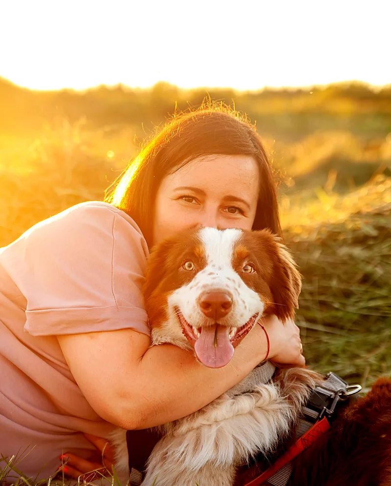 A smiling woman hugging her spaniel in a sunny golden field